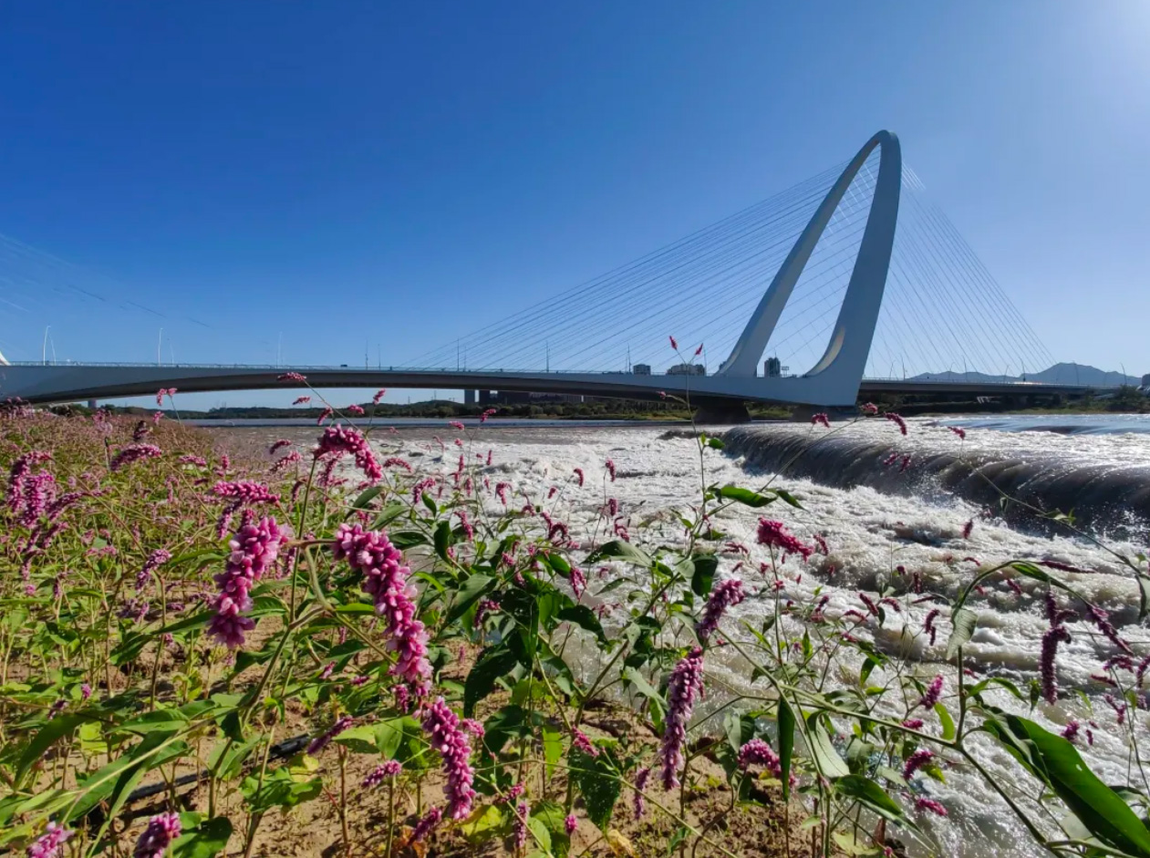 ���ݹ���-����ɼ�����,����Ʒ��ʵ��